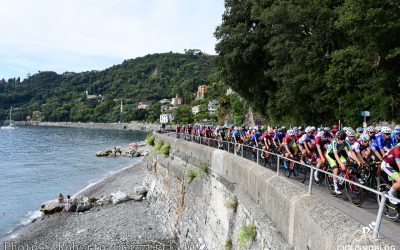 Stage 1 – Fotogallery